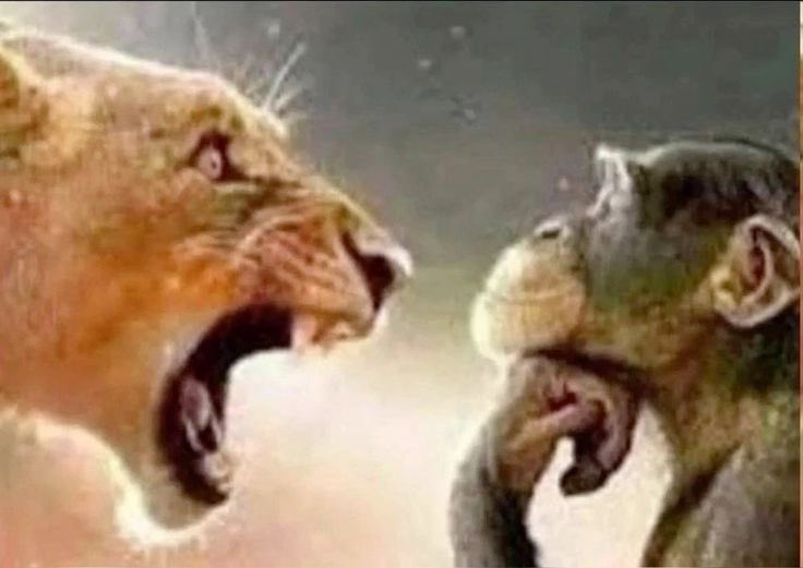 kraduni_volin5G's tweet image. slavic vena just feels so right to me idk… #sketchart #fanart #psychopomp #PsychopompGame #sketches #psychopompgold #mercury #venus