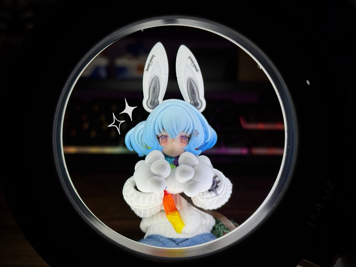 昨日からリングライトで遊ぶのにハマってしまって、ずっと写真撮ってます✨
かわいい〜( *´꒳`* )
#眩しいうちのこ
#メガミのヒカリ