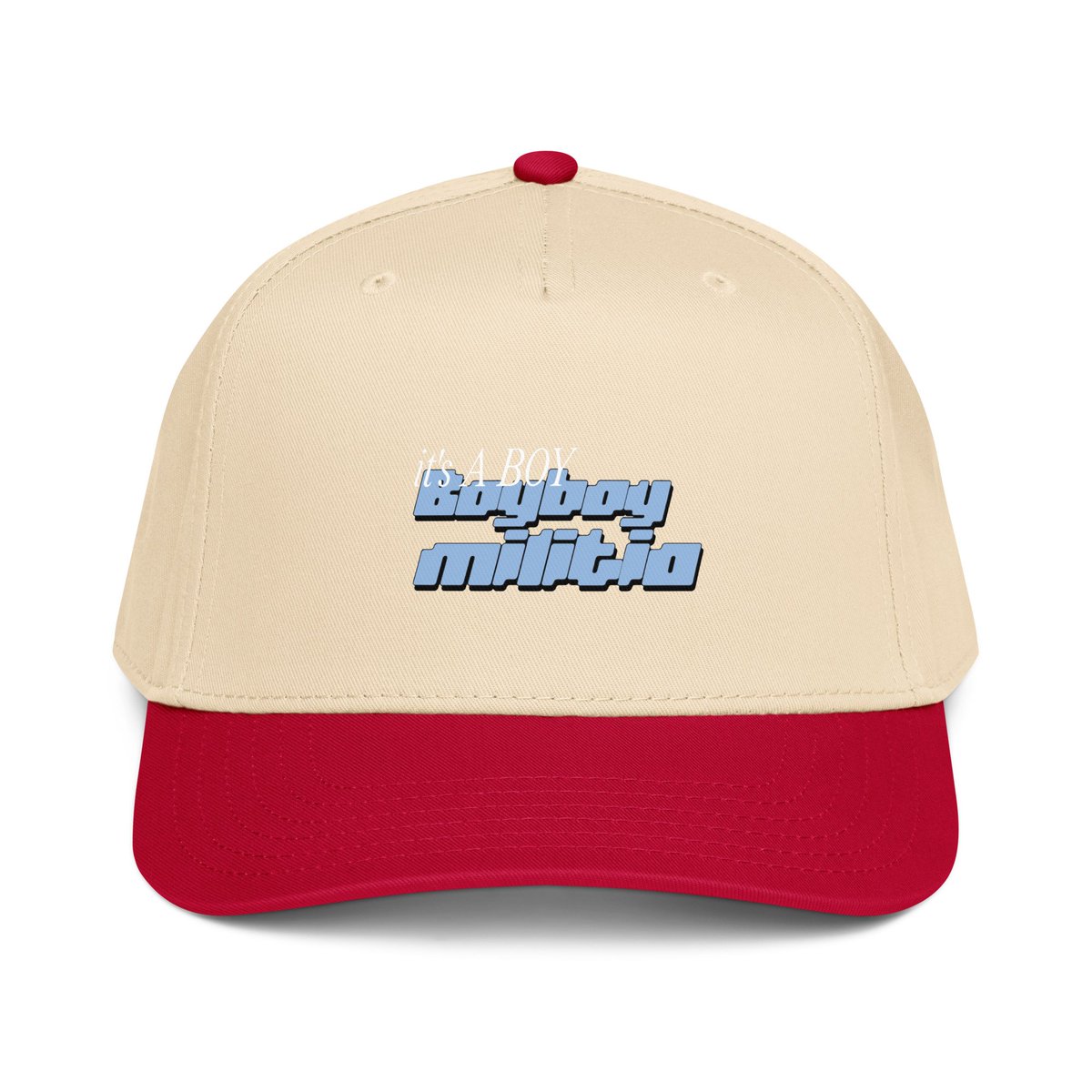 Boyboy militia (@boyboymilitia) on Twitter photo 