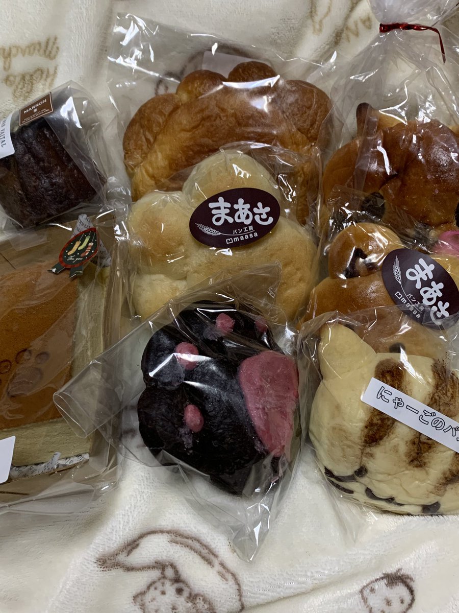 買ったパンいろいろですﾆｬ〜
にくきゅうパンとねこパン、すみれちゃんのカステラ、そしてお高いカヌレ…！