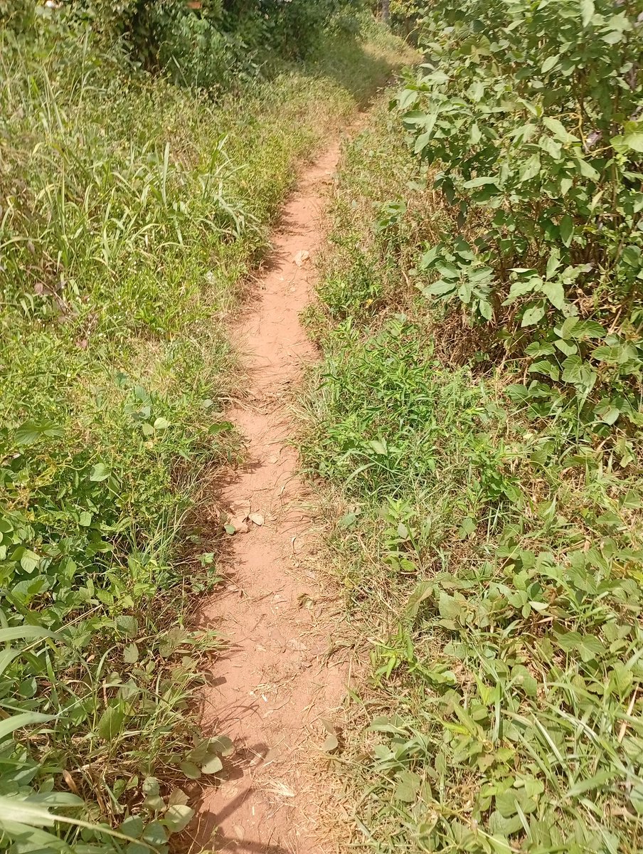 vicsonham's tweet image. Up and doing nothing, 

Just scrolling and looking for a #web3  opportunity. 

Just don&apos;t forget I am your front end dev