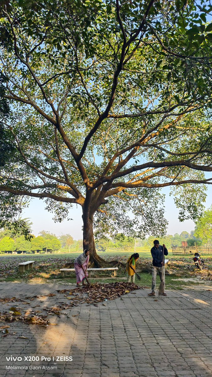 bitupon88900972's tweet photo. Good Morning 
#destinationkhumtai #cleankhumtai #cleanmelamora #SwachhaaHiSeva #plogging #avoidplastic #SwachhBharat @Mrinal_MLA @himantabiswa @CMOfficeAssam @narendramodi @PMOIndia @NANDANPRATIM @Pijush_hazarika @PmargheritaBJP @KamakhyaTasa @manabdeka @borgohainSBG https://t.co/dYnfAJzEFg
