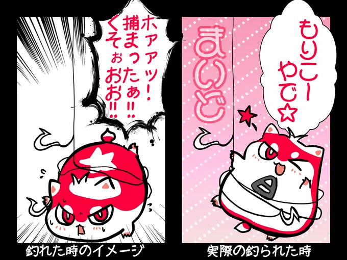 #もりたかーと
釣り上げた時のテンションがあまりにもフランク 