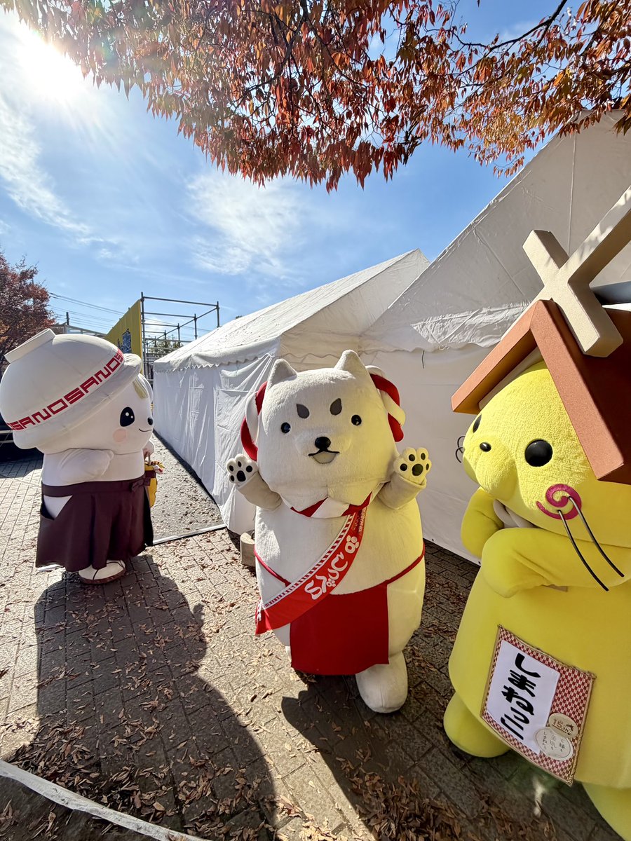 ステージコラボ楽しかったにゃ✨ 今日もいっぱい遊ぶにゃ«٩(*´ ꒳ `*)۶