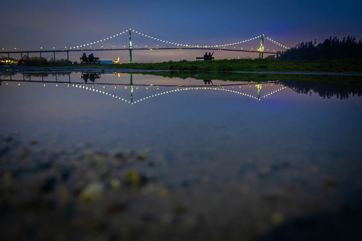 MarksGonePublic's tweet photo. Dog park and a bit of reflection on this drab, damp day. #WestVan https://t.co/toi1SjS5p0