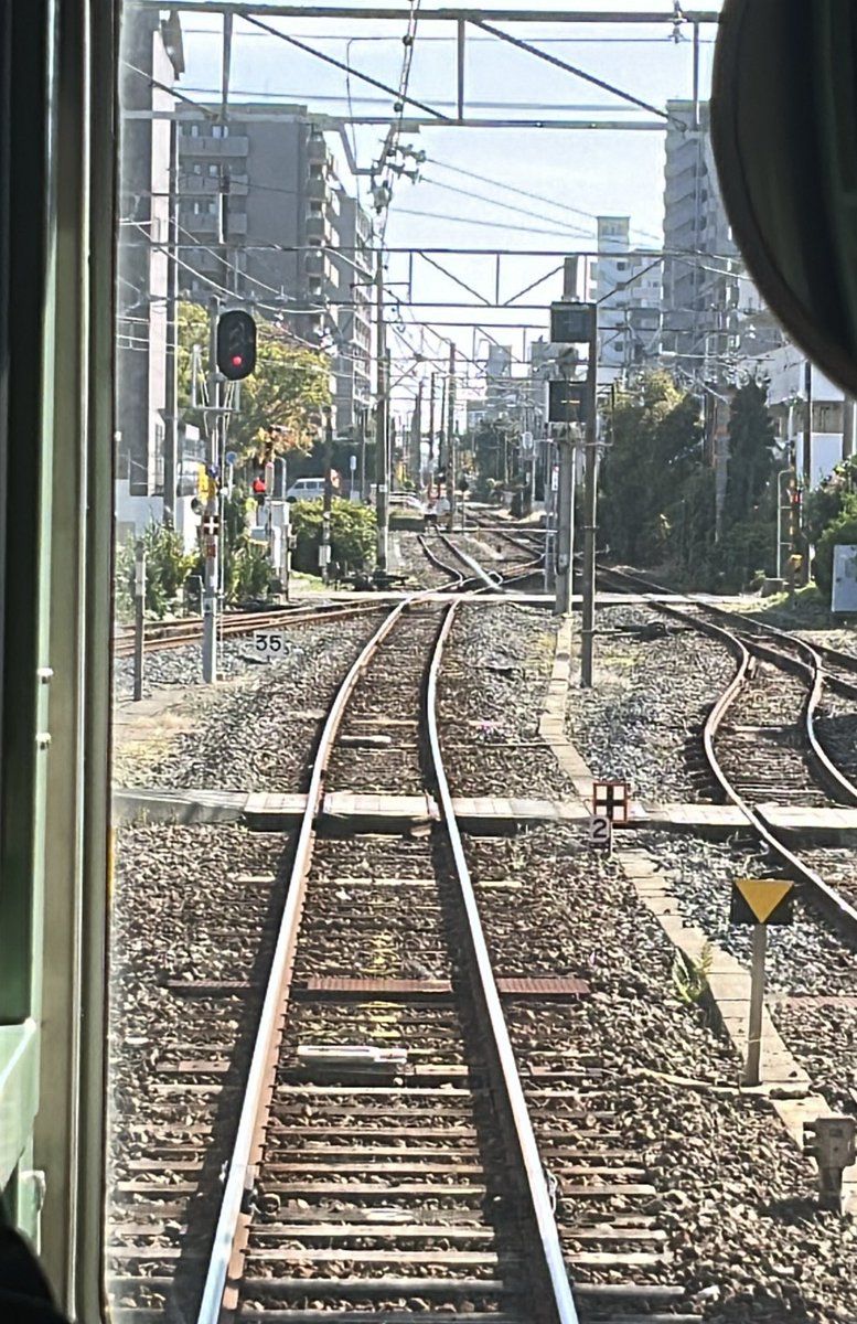 たまちゃん (@tamachan0527) / Posts / X