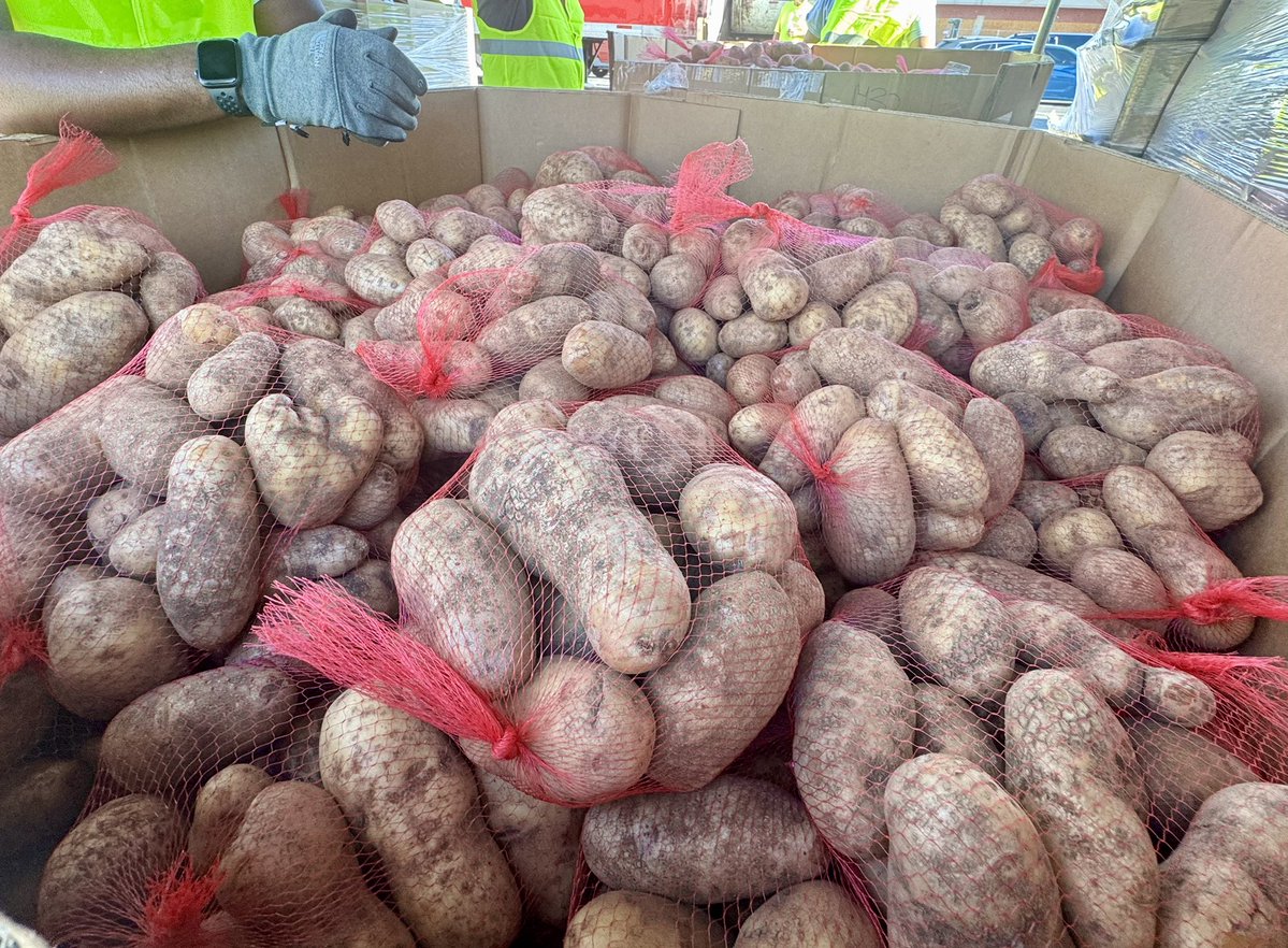 22ndCircuitSTL's tweet image. GIVING BACK: St. Louis judges and commissioners gladly volunteered their time on a sunny Saturday to join dozens of other helpers to distribute thousands of boxes of food at the Urban League of Metropolitan St. Louis’ mass food giveaway in north St. Louis. What a great day!