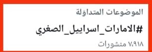الملايين الضخمة التي تنفقها الإمارات لتبييض صورتها، ووسائل الإعلام العملاقة التي تعمل بميزانيات هائلة
فضلًا عن الأقلام المأجورة والذباب الإلكتروني الذي لا يهدأ ليلًا ونهارًا
لم تستطع جميعها تجاوز وسم واحد من حملتنا، ولم تتمكن من تغيير قناعات الناس تجاه الدويلة المارقة.
لليوم