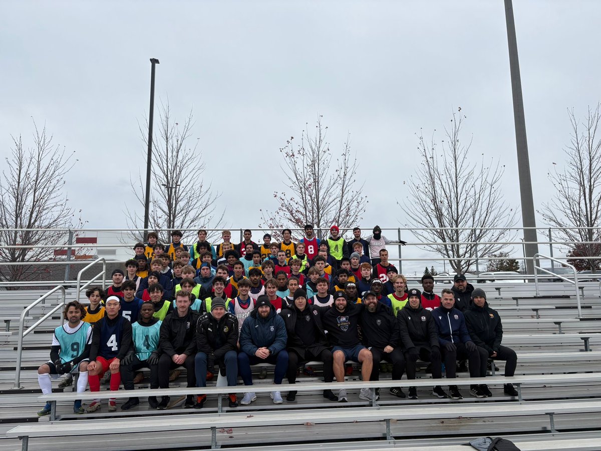 Kingston Sentinels tweet media