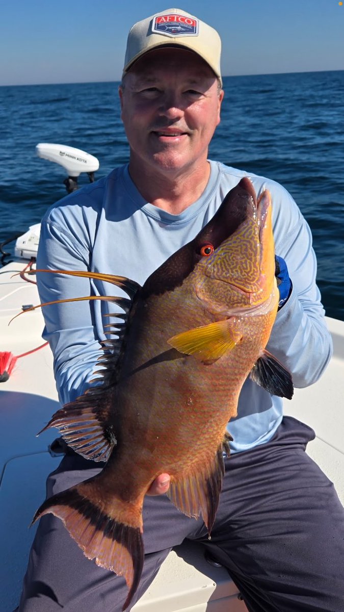 ltimmerman25's tweet image. We targeted Hogfish today. Guess what’s for supper. 👍