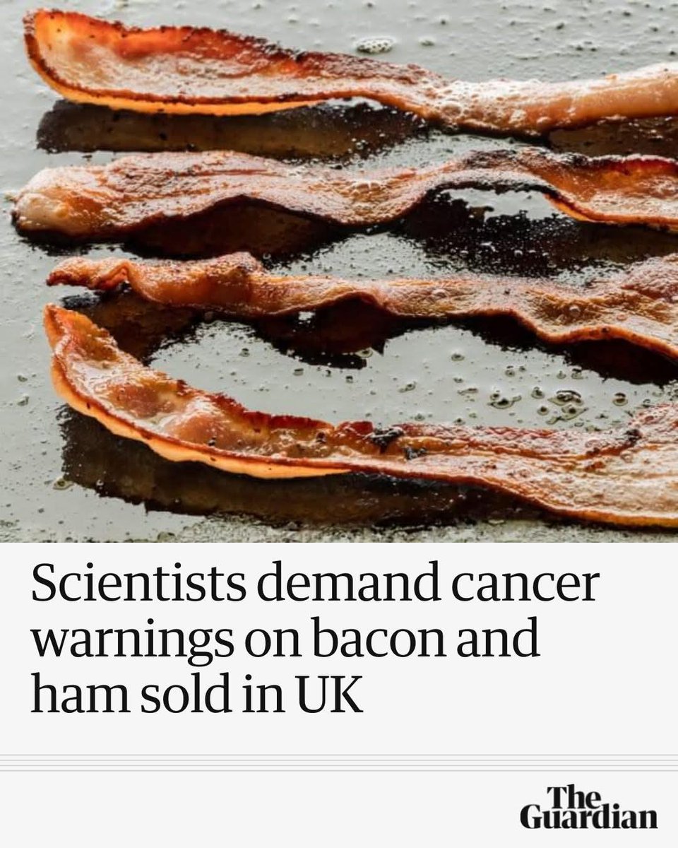 😁😁😁🌞🌞🌞 SUNDAY MORNING REMINDER:
<a href="/getsomemeatinya/">Meaty</a>

#MEATKILLS 🪦
#MEAT 💀
#EARLYDEATH ⚰️

Humans are NOT obligatory omnivores. 

Humans THRIVE on plant based food!!! 💪💪

#GOVEGAN 
#PLANTBASED