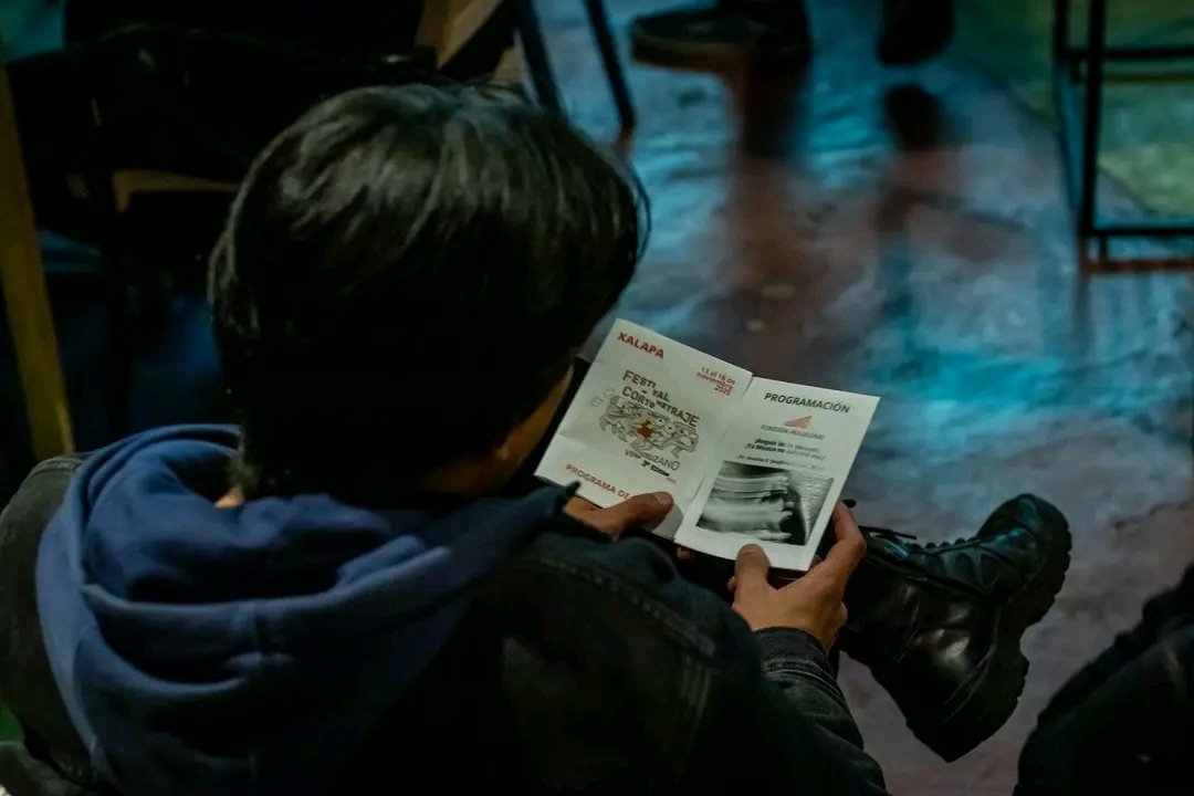 Festival de Cortometraje Veracruzano tweet media