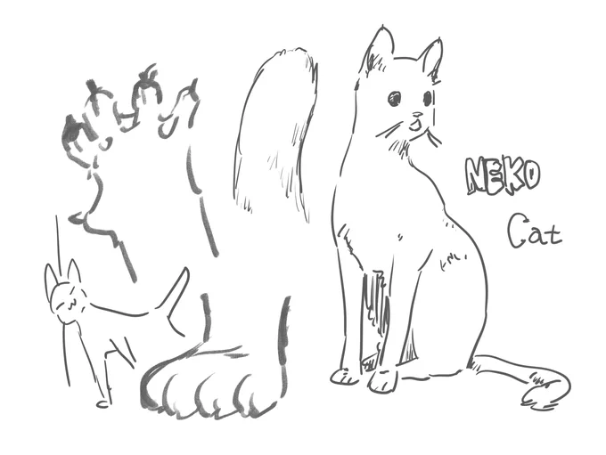 ねこ 