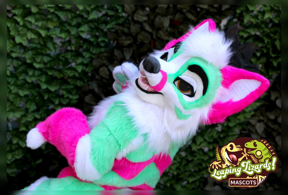 LLMCostumes's tweet photo. (Model is smaller than suit owner)
Meet Ammu, the fox!
This beautiful boy has several fun features to add to the fun suiting experience such subtle removable chest padding with an inner zipper that doubles as a pocket to store your phone, keys, badges, etc! Zip on 1/3 https://t.co/0kj4EvJGJo