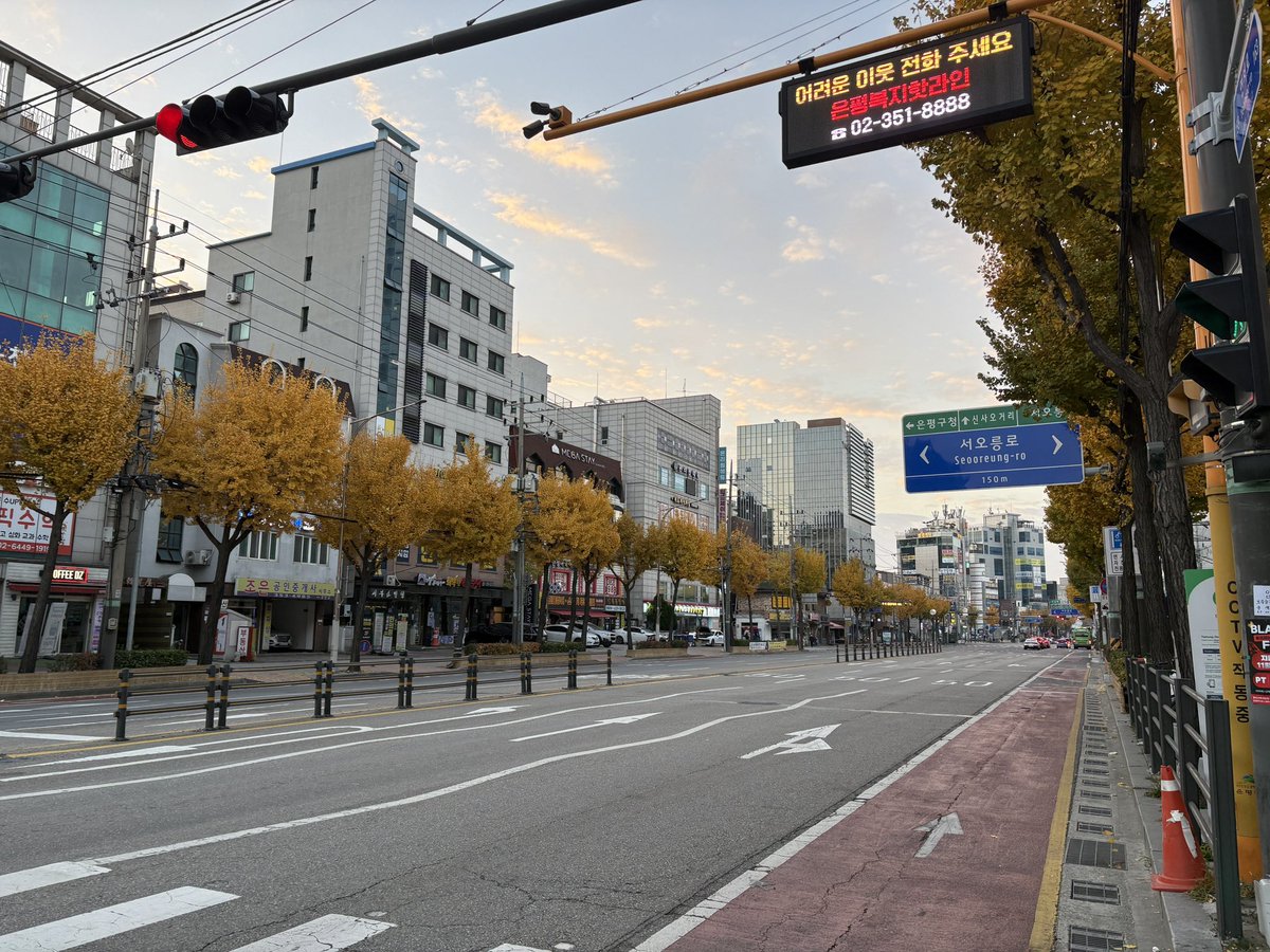 今の季節のソウルは、ただ街を散歩🚶するだけでも風情がありますよね