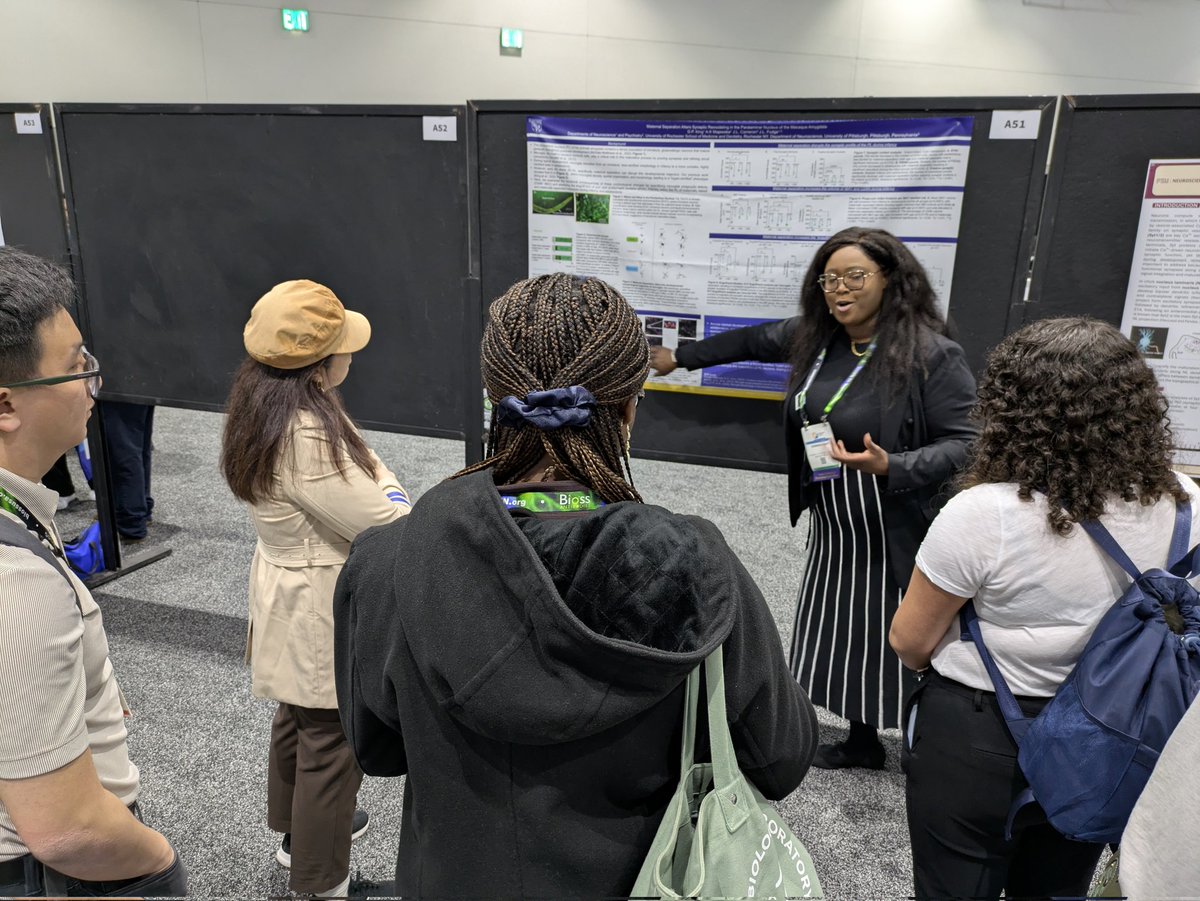 The poster session is underway at #SfN25 Neuro Grad student <a href="/denns_neurons/">Dennisha King</a> from <a href="/JulieFudge6/">Julie Fudge, MD</a> lab, is drawing a crowd at A51 #URochesterResearch