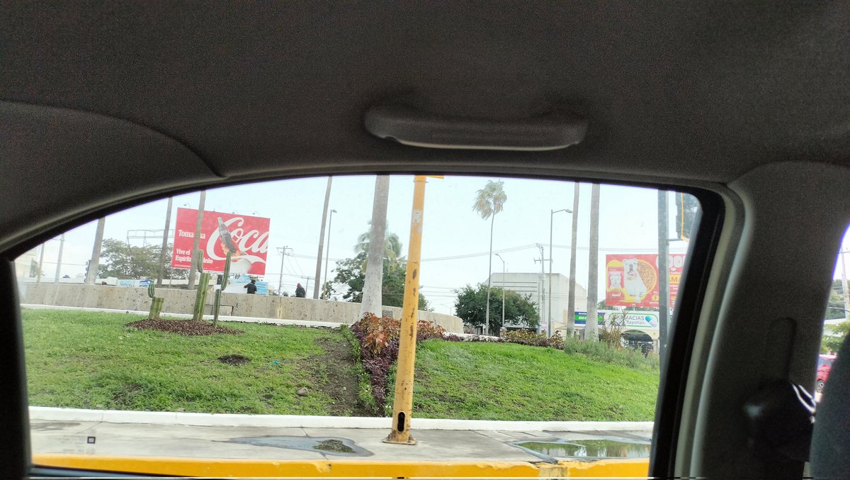 Ludwisito tweet media