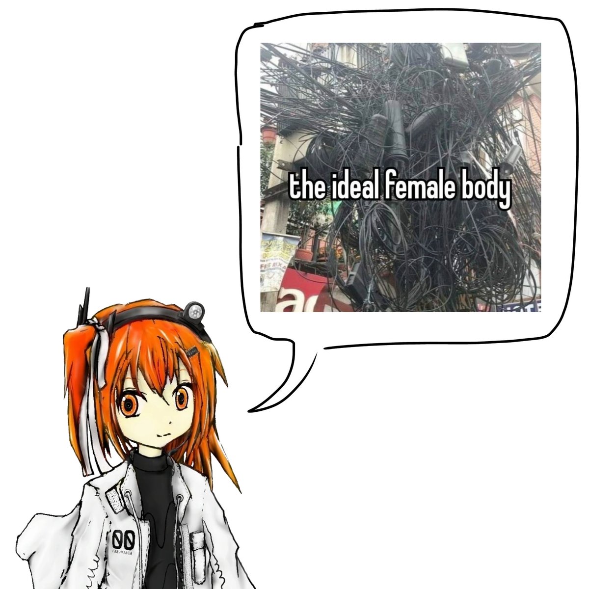 "the ideal female body"