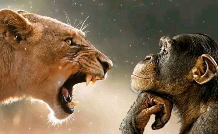 Me right now. The gremlins do be gremling.