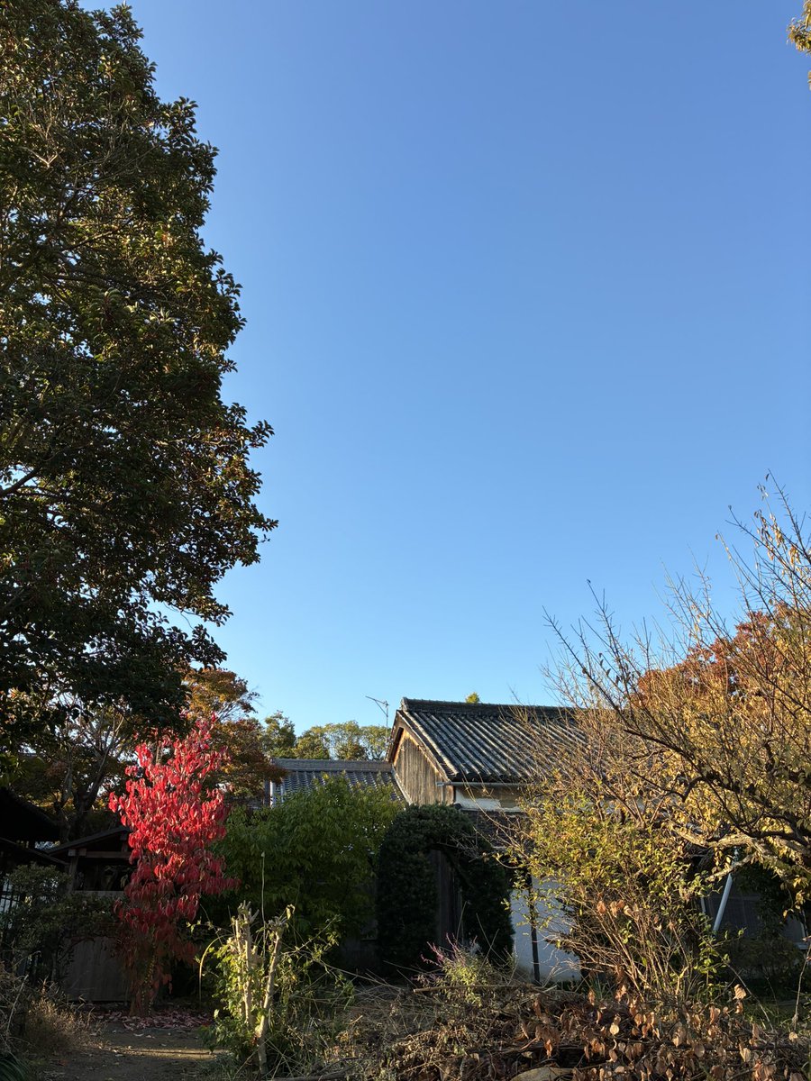 甲斐くんを探せ…！！！
Lv.100