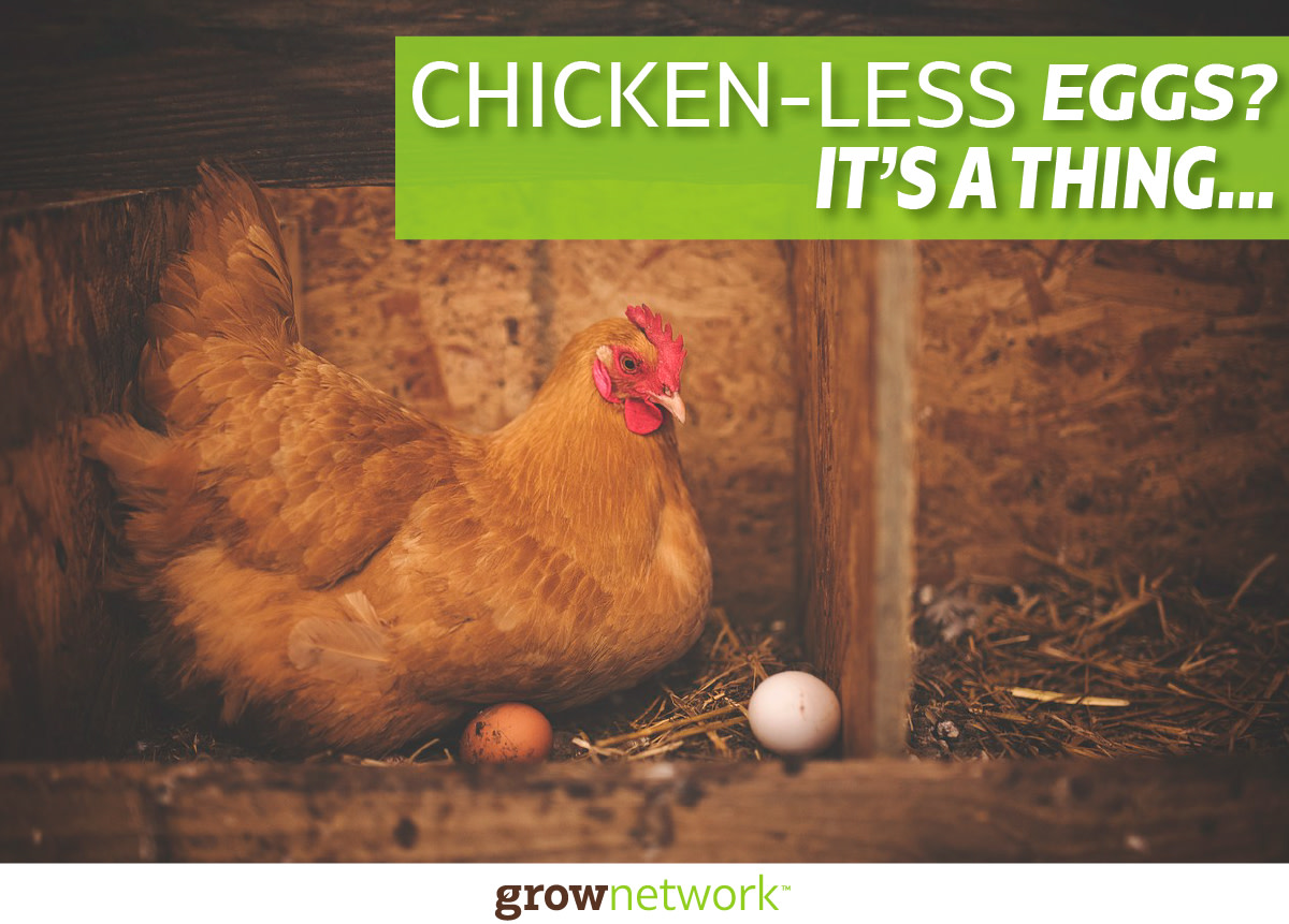 The Grow Network tweet media