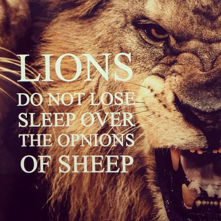Don’t take criticism from someone you wouldn’t take advice from.