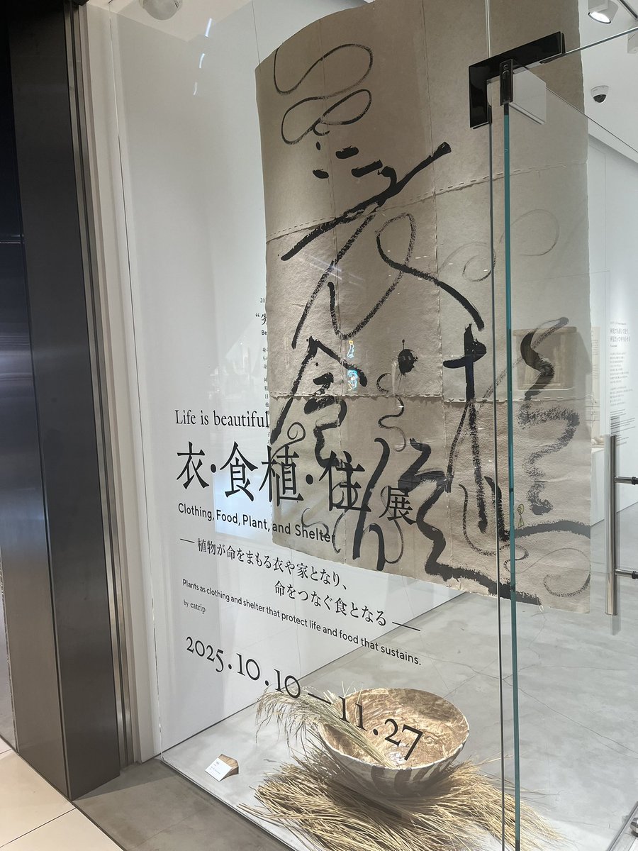 デレックマ💜🏯🦋 (@Yshv7XfMvLgJD3i) / Posts / X