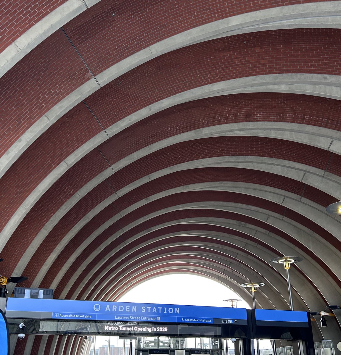 ham 🪴 tweet media