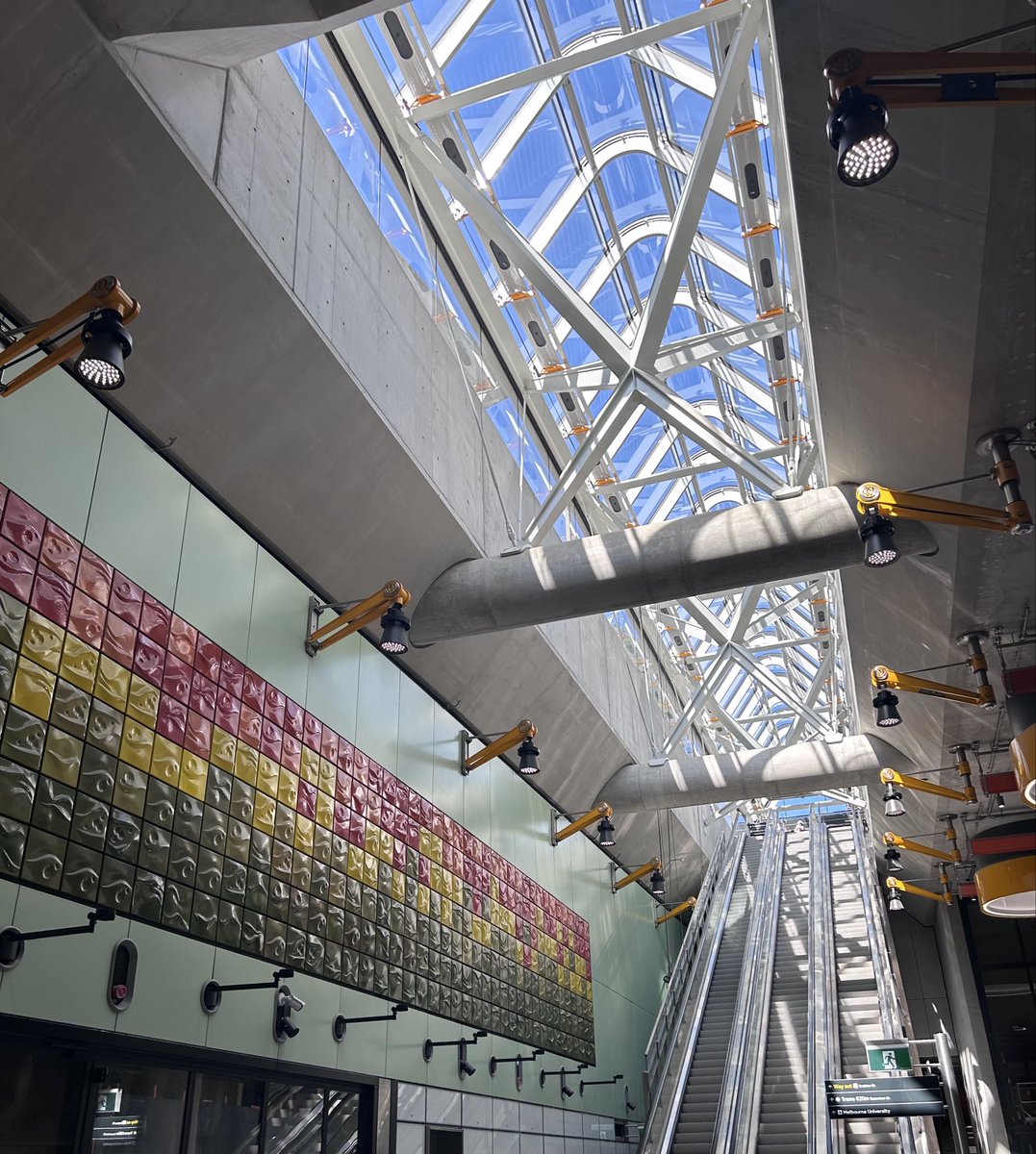 ham 🪴 tweet media