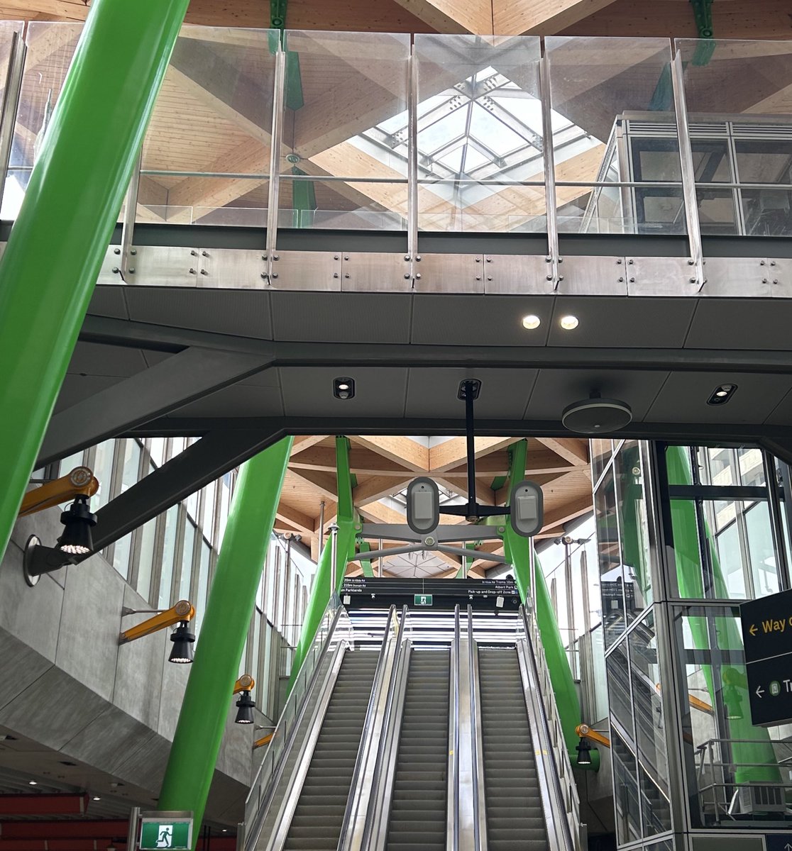 ham 🪴 tweet media