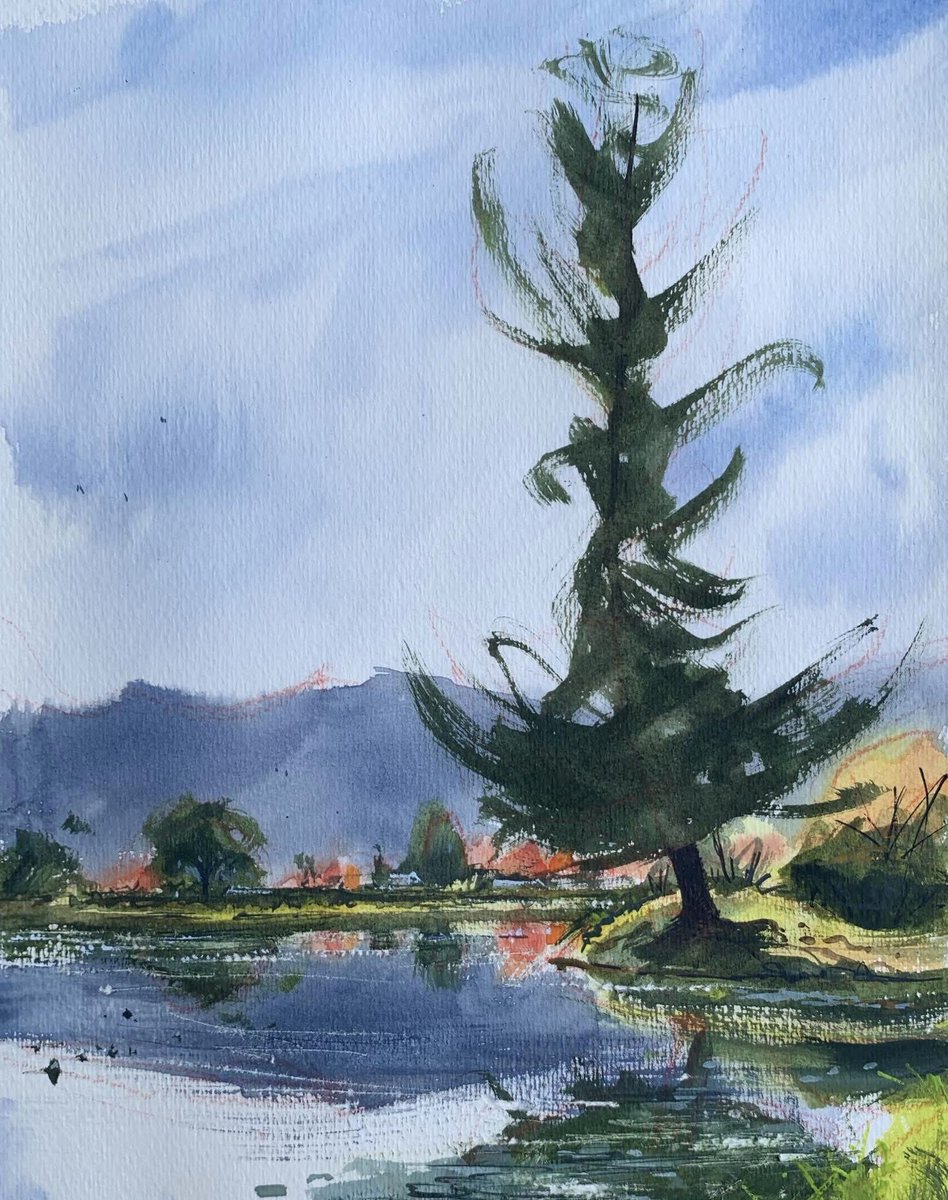 Sketch of a grand old pine tree next to the lake in Daikakuji, perhaps my favourite temple in Kyoto.

#watercolour #kyoto #大覚寺