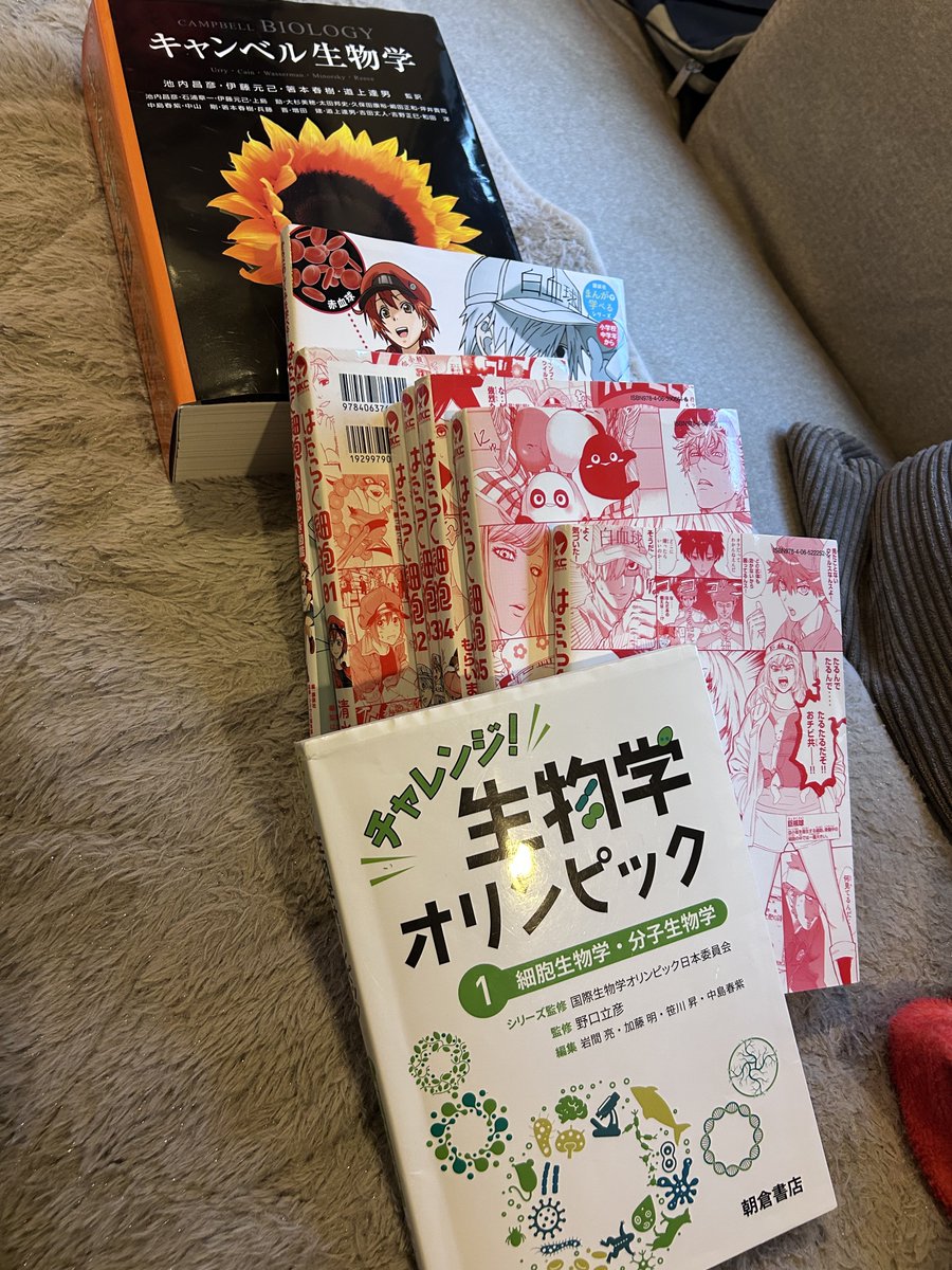 ゆっきー (@p_yukky) / Posts / X