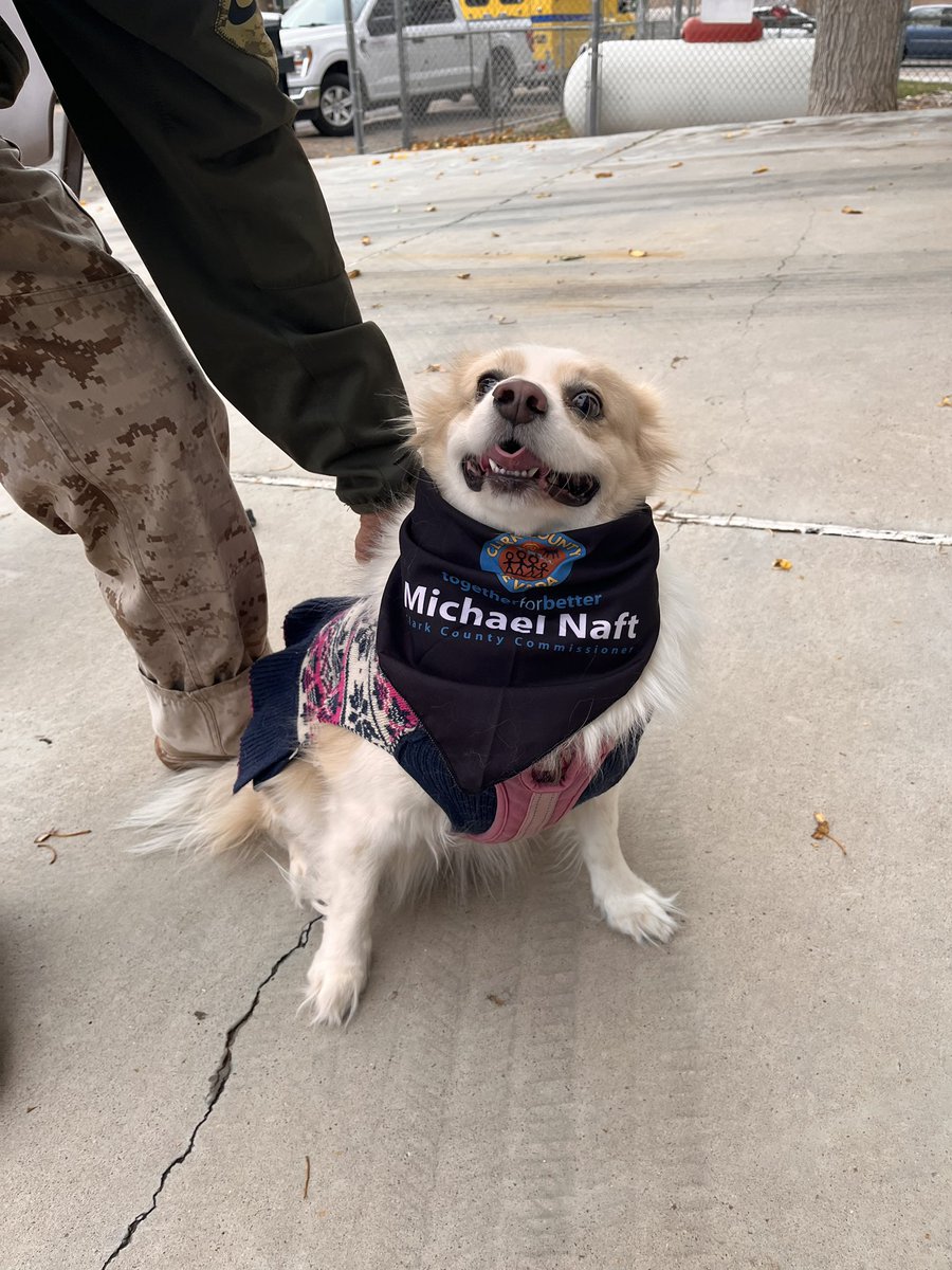 Today’s #Searchlight Vaccine Clinic saw 50 animals 💉 Thank you to <a href="/animalfndlv/">The Animal Foundation</a> for their collaboration on this critically important service and to @clarkcountyfd for letting us turn their Fire Station into a pop-up clinic for the morning!