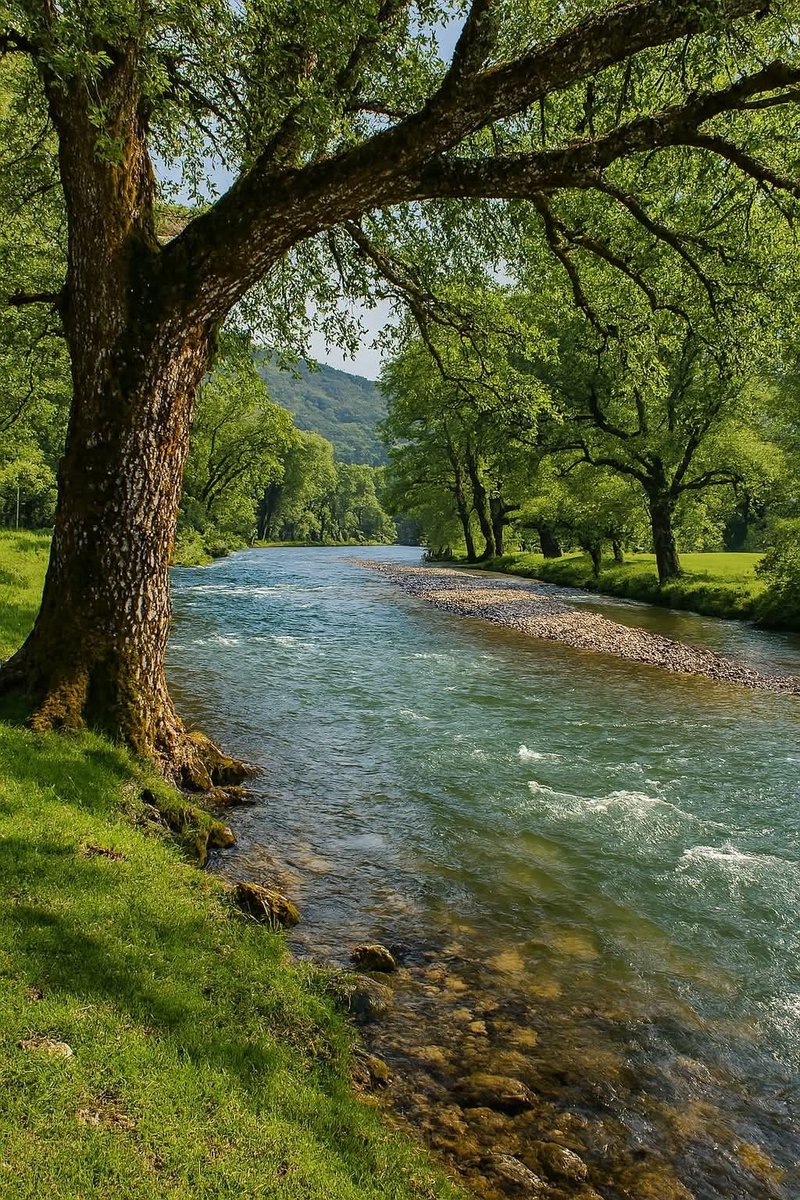 ᅠ ᅠ (@greendreaams) on Twitter photo 