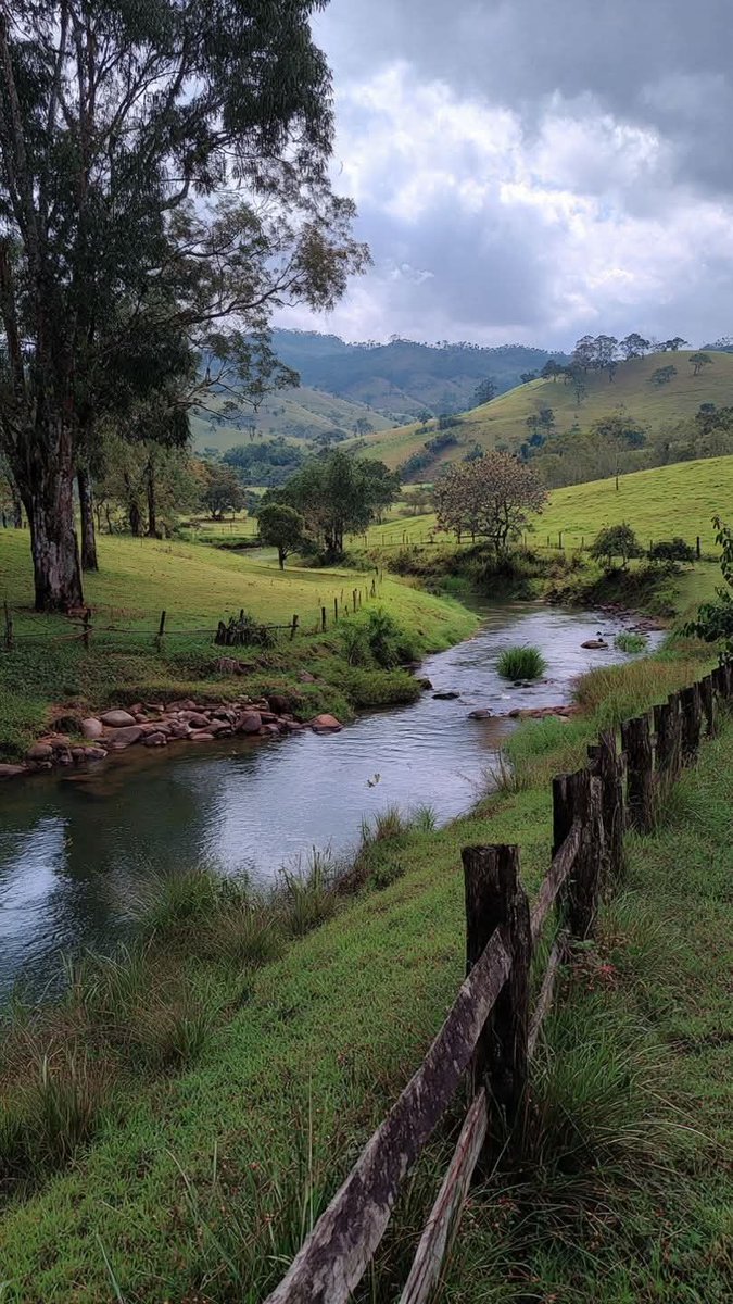 greenvibe's tweet image. 