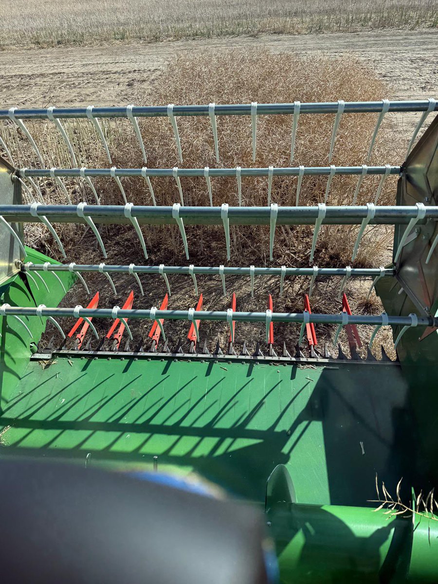 Latest Canola Results Just RELEASED - Greenough WA <a href="/PacificSeeds/">Pacific Seeds</a> Hyola Innovation Systems GLY Trials - Analysed Yield t/ha 
New XX Exp Hybrid 4.41
Hyola Regiment XC 4.23
InVigor LR4540P 4.17
Hunter TF 4.15
Pioneer 323G 4.11
Eagle TF 4.11
Emu TF 3.96
CV 8.30 SE 0.258