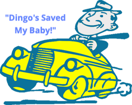 dingospdr's tweet photo. https://t.co/CHPqZ6deLP https://t.co/chWQpsm7vG