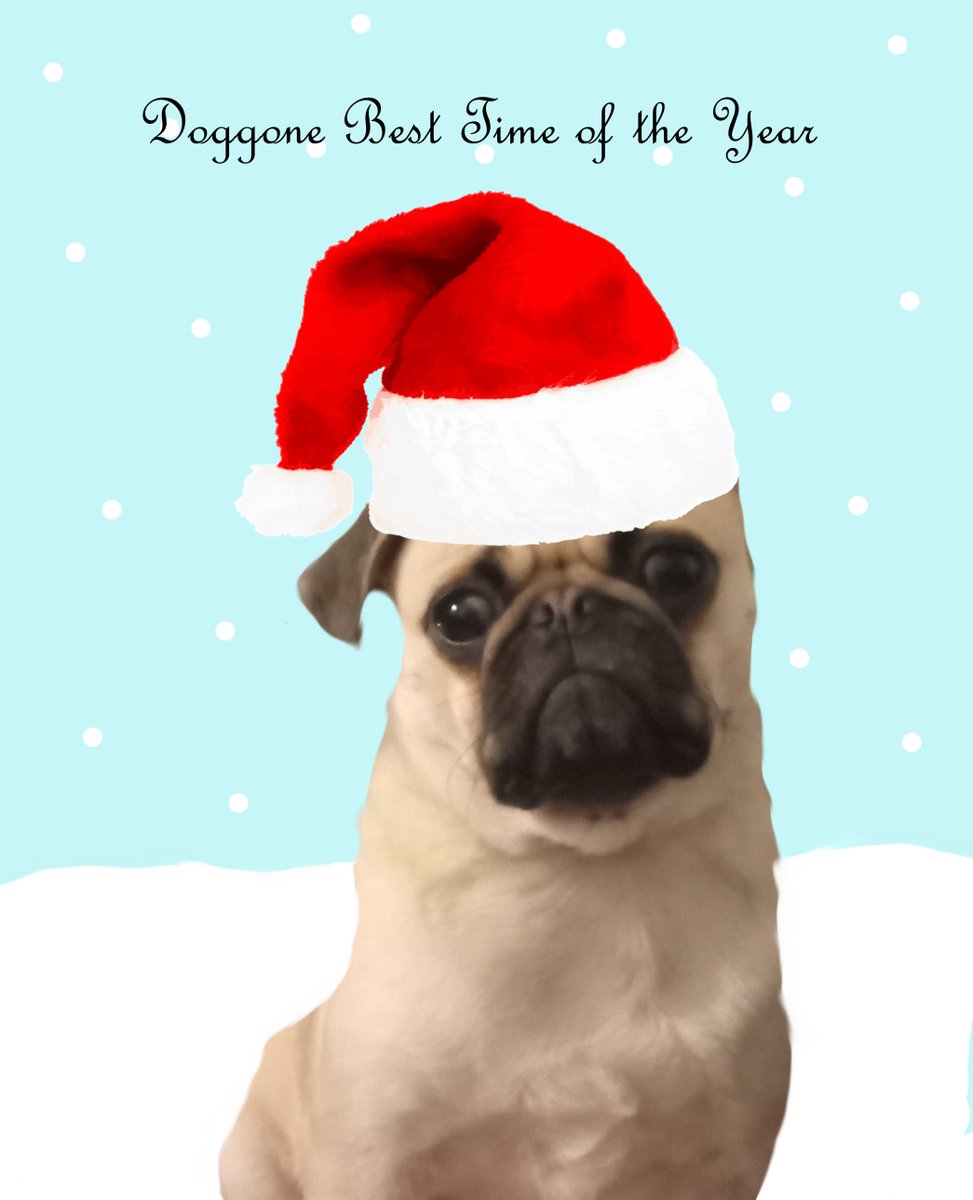 Rachel120900's tweet photo. Check out my new single "Doggone Best Time of the Year" live on Qobuz!    https://t.co/GUwQv1mLi1
#Christmas #dogs https://t.co/s1o3TCxifk