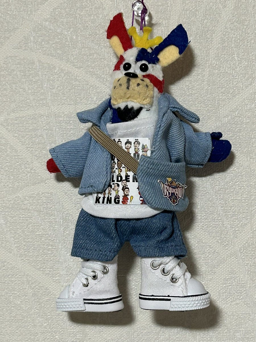 ゴーちゃん専用❣️ 今日のゴーちゃん。水色コーデ🩵