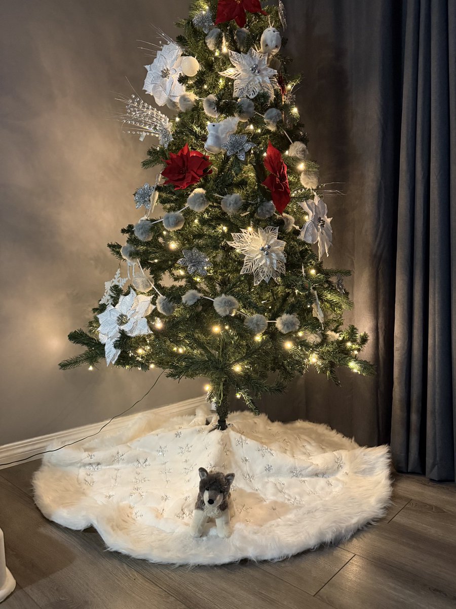 MrRussClass's tweet image. Our class mascot, Oreo the WolfDog, had a wonderful adventure with D! Reading, hanging out with the Croxford football team, and setting up for Christmas! 

#WhereIsOurClassWolfDog🖤🩶🤍🐺