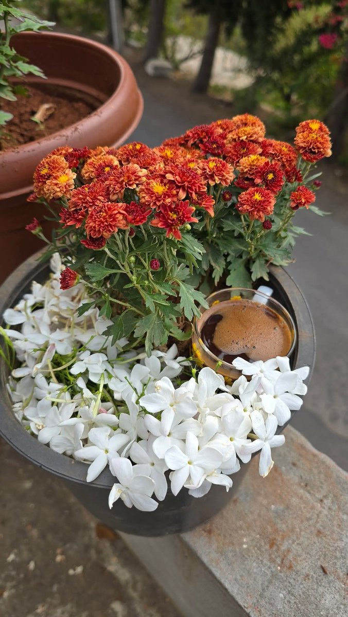 #صباح_الورد

شيءٌ ما يشبهكِ ، ربَّما اليَاسَمِينْ ، و ربَّما الورد  ، 

و ربَّما 

كِلاهُمَا معاً ..🌺♥️🌹

لعينيك الجميلتين تلگ الورود والياسمين..! 🌹♥️🌺

أما القهوه .. فهي لي 🤨