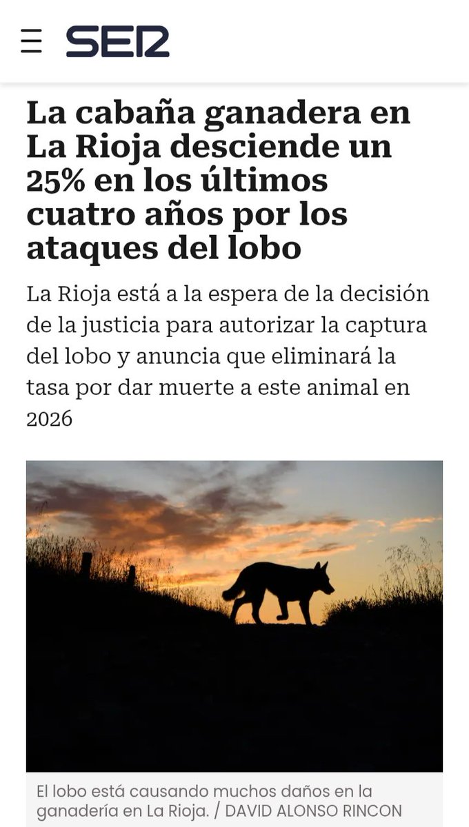 Mientras los daños atribuidos a lobo en La Rioja descienden por tercer año consecutivo (un 27,3% menos desde el 2022), la Consejera <a href="/NOE_MANZANOS/">NOEMI MANZANOS</a> sigue con su obsesión enfermiza por cazarlos y sus propagandistas insultan a la inteligencia de sus lectores con estos titulares.