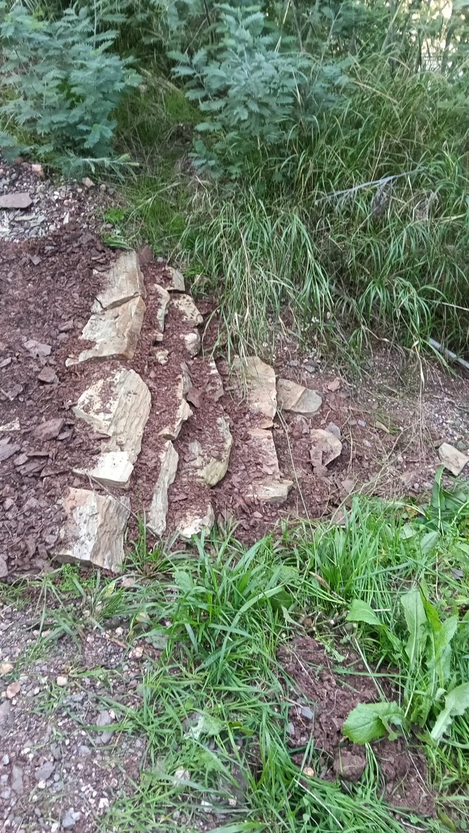 adfmartorell's tweet photo. Es important mantindre aquestes infraestructures de  canals i Duesaigües en condicions perquè quan plou facin la seva funció correctament d'evacuació d'aigües per el circuit establert sense malmetre els camins ni provocar reguerots ni provocar incidències al barri de Rosanes. https://t.co/4v6l7Em8ff
