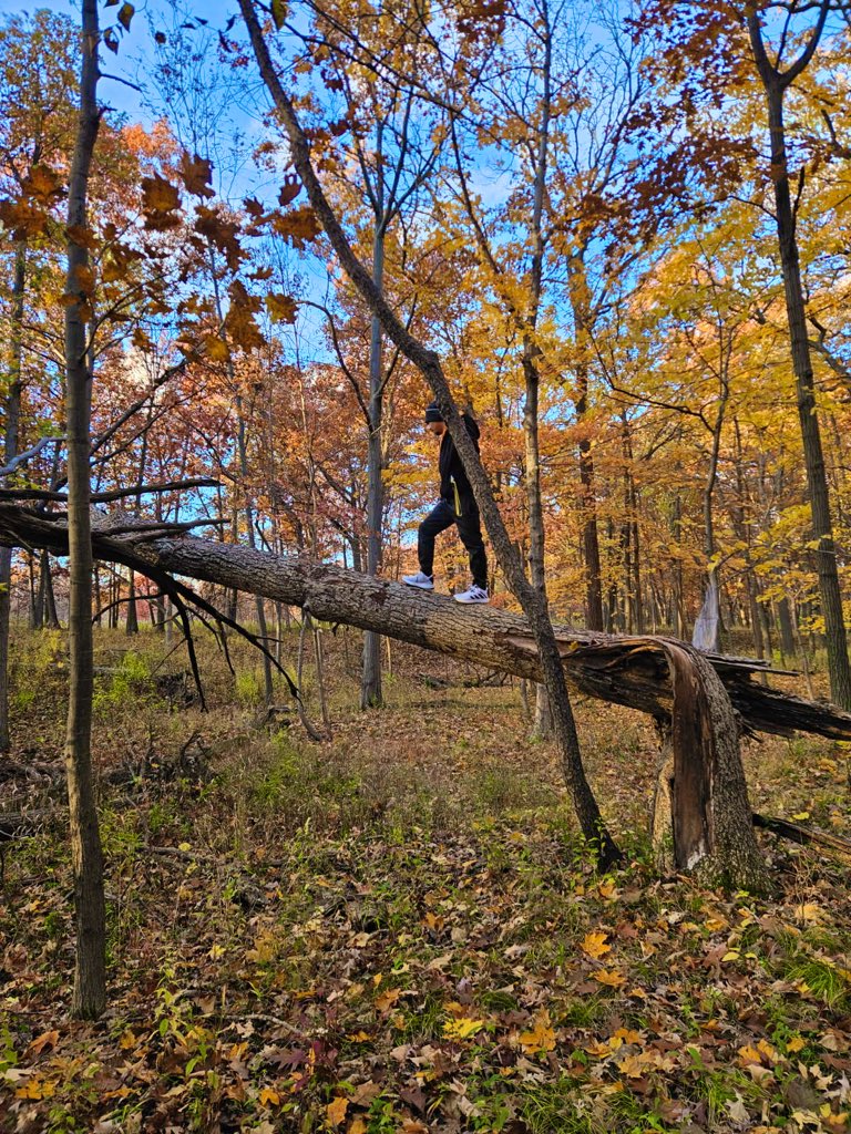 ItsPuchi's tweet image. Dean 💀