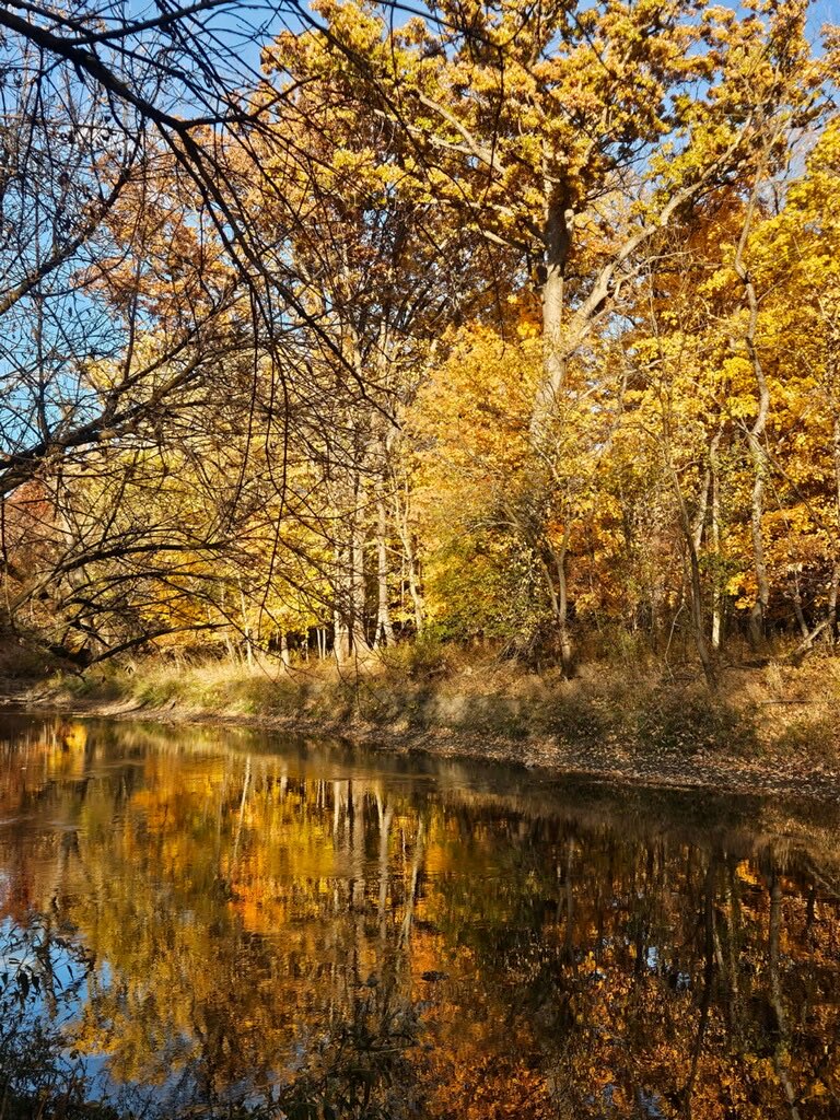 ItsPuchi's tweet image. Dean 💀