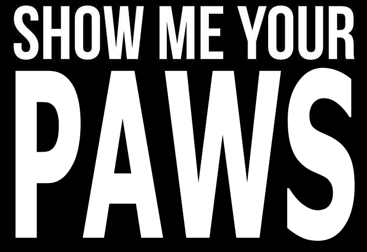 Partyzan the ramen noodle tweet media