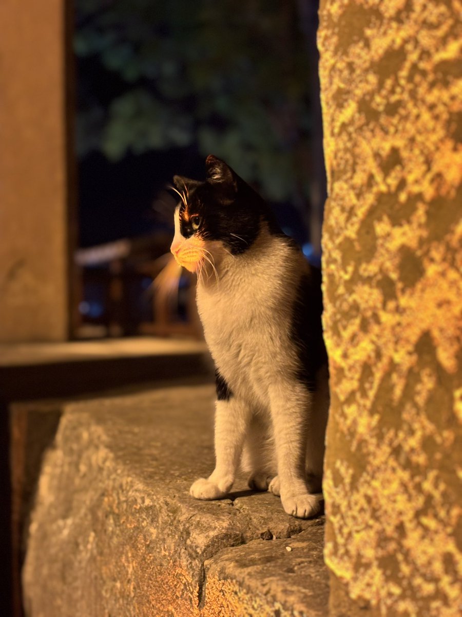 EMRE_CN__'s tweet photo. Kırma , 
Bir adım ötesi,
‘MUSALLA.’’ https://t.co/KiZI1MOSZl