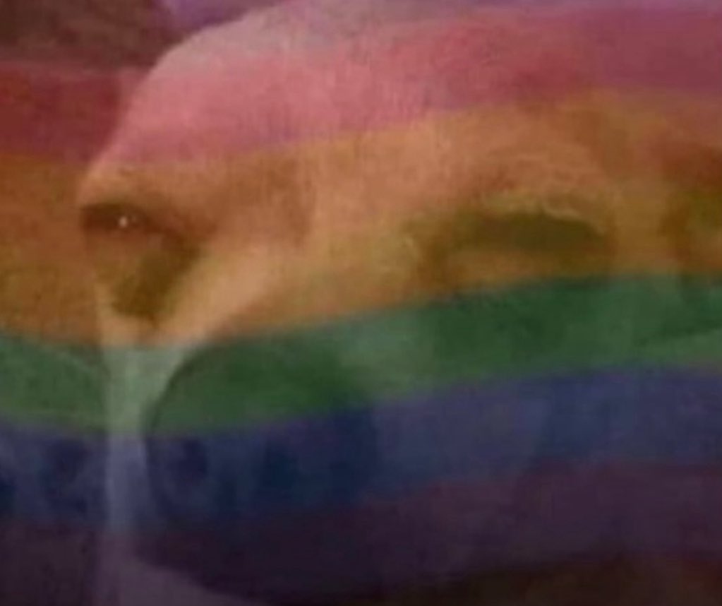 “Michael guy” (@michaelstraws) on Twitter photo 