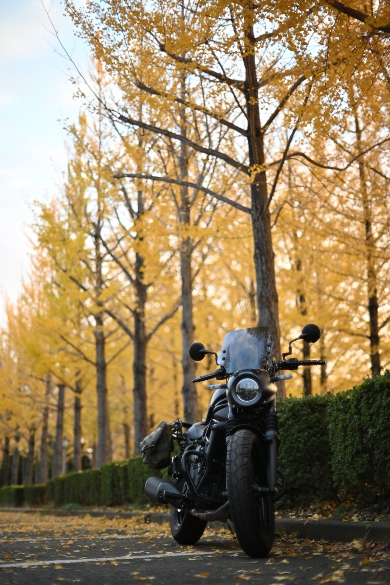 きくりんぐ (@kikuling) / Posts / X