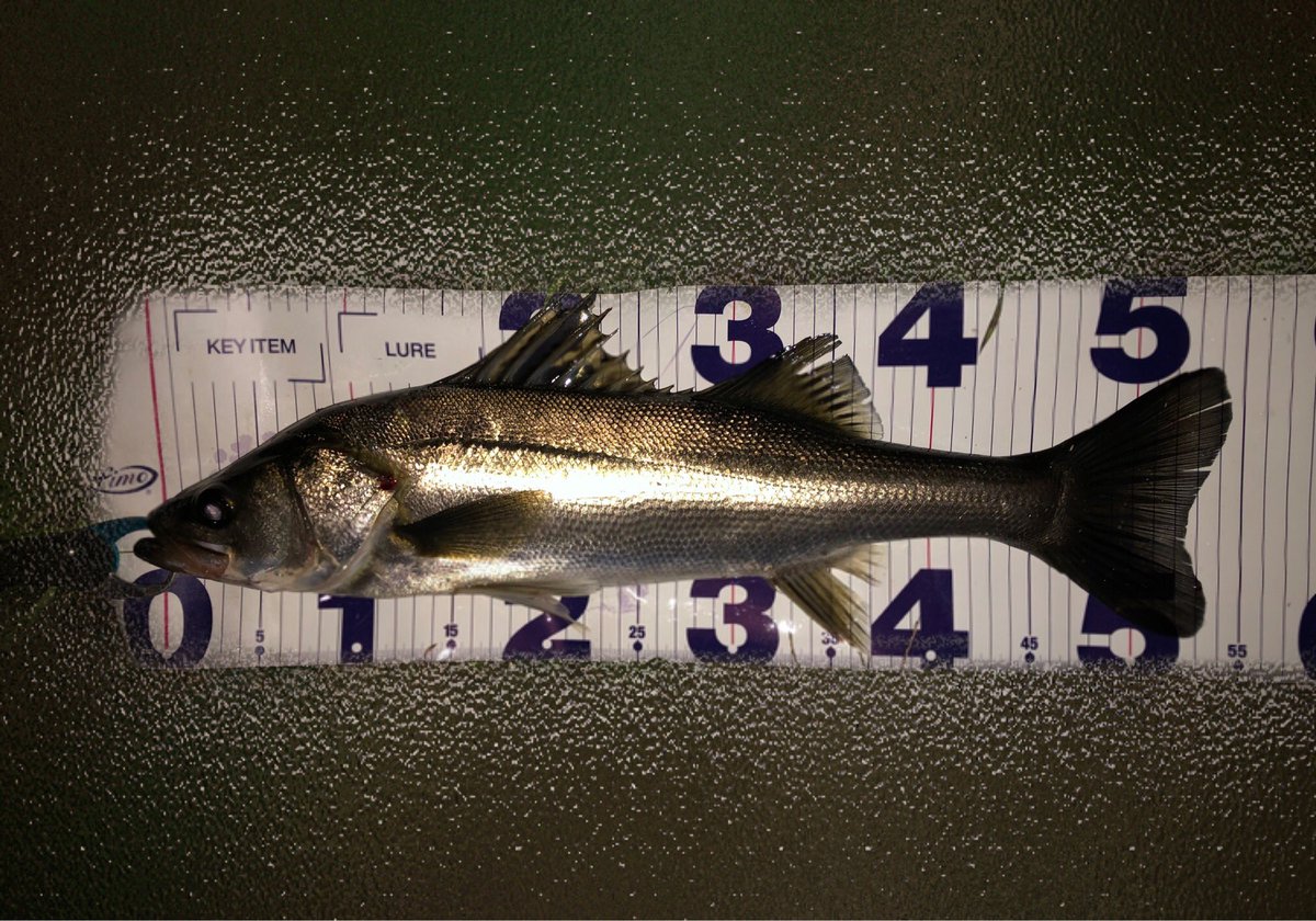 K2さん  様  確認ページ❗ K2無限